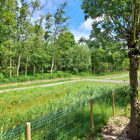 Wellnesshuis Met Hottub, Ligbad En Grote Tuin Villa Tzummarum Exterior photo